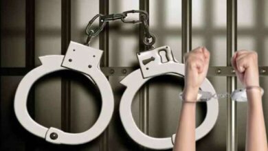 अंतरराज्यीय गांजा तस्करी के मामले में बड़ी कार्रवाई, सब्जी के खाली कैरेट के नीचे छिपाकर ले जा रहे थे