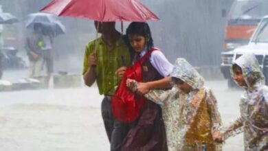 हिमाचल में बारिश का ऑरेंज अलर्ट, शिमला में स्कूलों और आंगनबाड़ी केंद्रों को बंद रखने के निर्देश