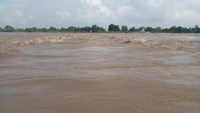 दुर्ग में शिवनाथ नदी उफान पर, बाढ़ में फंसे 32 लोगों सुरक्षित बाहर निकाला दुर्ग में शिवनाथ नदी उफान पर, बाढ़ में फंसे 32 लोगों सुरक्षित बाहर निकाला