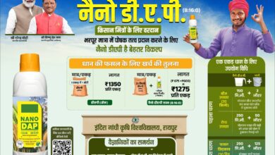 नैनो डीएपी किसानों के लिए ठोस डीएपी उर्वरक का स्मार्ट विकल्प नैनो डीएपी किसानों के लिए ठोस डीएपी उर्वरक का स्मार्ट विकल्प