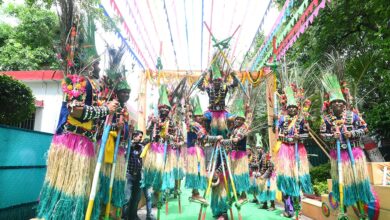 हरेली की सुग्घर परंपरा के रंग में रंगा मुख्यमंत्री निवास