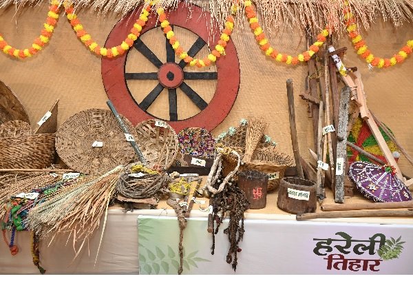 मुख्यमंत्री निवास में हरेली उत्सव: छत्तीसगढ़ी परंपराओं की झलक, पारंपरिक कृषि यंत्रों के साथ बिखरी सांस्कृतिक छटा