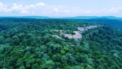 कांकेर जिले में नया पर्यटन केन्द्र बनकर उभर रहा ‘धारपारूम’