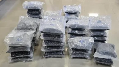 डीआरआई ने “वीडआउट” नामक 72 करोड़ के 72 किलो हाइड्रोपोनिक मादक पदार्थ किये जब्त