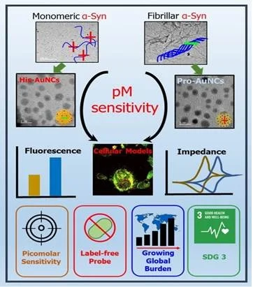 सोने के छोटे कण पार्किंसंस रोग का शीघ्र पता लगाने में मदद कर सकते हैं