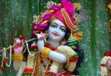 जन्माष्टमी : ये करें तो जरूर मिलेगी कान्हा जी की कृपा