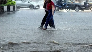 पिछले 24 घंटे में कई जगहों में हल्की-मध्यम बारिश, दो संभागों में अति वर्षा पिछले 24 घंटे में कई जगहों में हल्की-मध्यम बारिश, दो संभागों में अति वर्षा