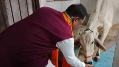 गौ-सेवा से ही मिलती है सच्ची शांति और ऊर्जा : मुख्यमंत्री श्री विष्णु देव साय