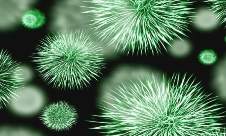 शहर की हवा में अदृश्य बैक्टीरिया खुलेआम घूम रहे हैं, मानव स्वास्थ्य को खतरा