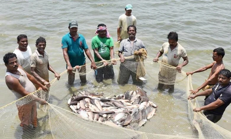 आत्मनिर्भरता और आर्थिक स्थिरता का मजबूत आधार बना-मत्स्य पालन