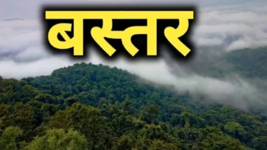 बस्तर के आसना में खुलेगा राज्य का पहला वन विज्ञान केन्द्र