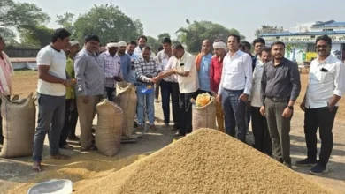छत्तीसगढ़ में धान खरीदी प्रारंभ छत्तीसगढ़ में धान खरीदी प्रारंभ