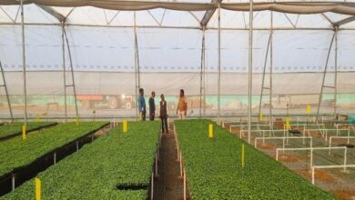 11 नवंबर को अहमदाबाद में होगा ‘इन्वेस्टर कनेक्ट’ कार्यक्रम