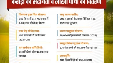 सुगम धान खरीदी से बढ़ा किसानों का आत्मविश्वास — ग्रामीण अर्थव्यवस्था में लौट रही रौनक सुगम धान खरीदी से बढ़ा किसानों का आत्मविश्वास — ग्रामीण अर्थव्यवस्था में लौट रही रौनक