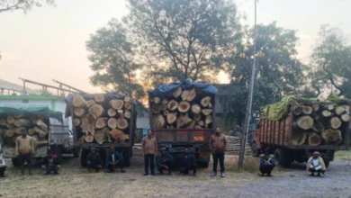 प्रतिबंधित काष्ठों का अवैध परिवहन पकड़ा गया, वन विभाग ने की जब्ती