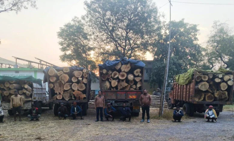 प्रतिबंधित काष्ठों का अवैध परिवहन पकड़ा गया, वन विभाग ने की जब्ती