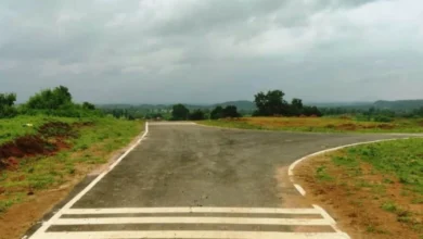 पीएमजीएसवाई से बदला विकास का भूगोल, पक्की सड़कों ने जुड़ा गांव-गांव, बढ़ी व्यापार, शिक्षा, स्वास्थ्य और ग्रामीणों में बड़ी नई उम्मीद पीएमजीएसवाई से बदला विकास का भूगोल, पक्की सड़कों ने जुड़ा गांव-गांव, बढ़ी व्यापार, शिक्षा, स्वास्थ्य और ग्रामीणों में बड़ी नई उम्मीद