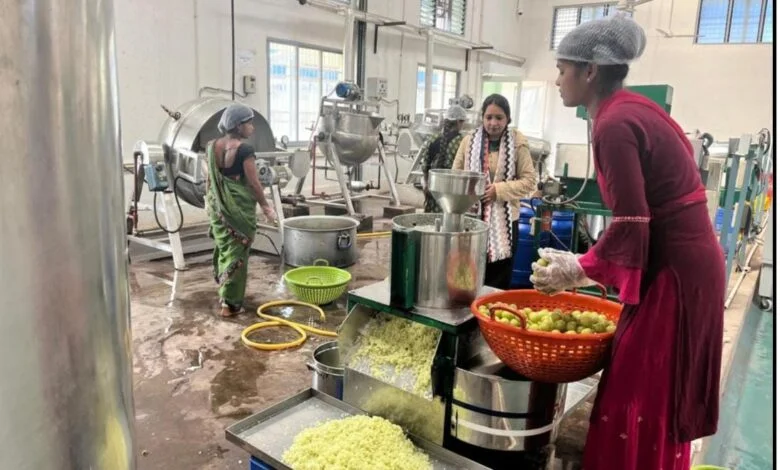 केन्द्रीय प्रसंस्करण इकाई जामगांव एम: ग्रामीण अर्थव्यवस्था और रोजगार को नया बल