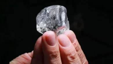 दो दोस्तों की किस्मत चमकी: जमीन से मिला 15.34 कैरेट का हीरा, कीमत करीब 50 लाख दो दोस्तों की किस्मत चमकी: जमीन से मिला 15.34 कैरेट का हीरा, कीमत करीब 50 लाख