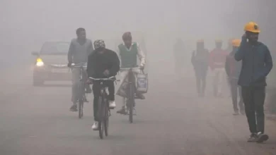 छत्तीसगढ़ में ठंड का असर जारी, शीतलहर और तापमान में गिरावट की संभावना छत्तीसगढ़ में ठंड का असर जारी, शीतलहर और तापमान में गिरावट की संभावना