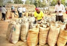 किसानों को 409 करोड़ का हुआ भुगतान