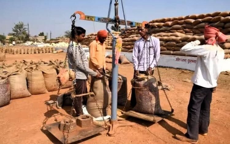 अब  तक 17.24 लाख टोकन से 87 लाख टन धान  की हो चुकी खरीदी