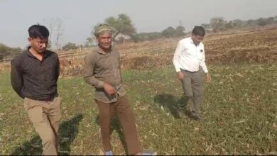 धान से हटकर समृद्धि की राह: जेवरा के किसान दिलीप सिन्हा ने दलहन-तिलहन से कमाए 25 लाख रुपये