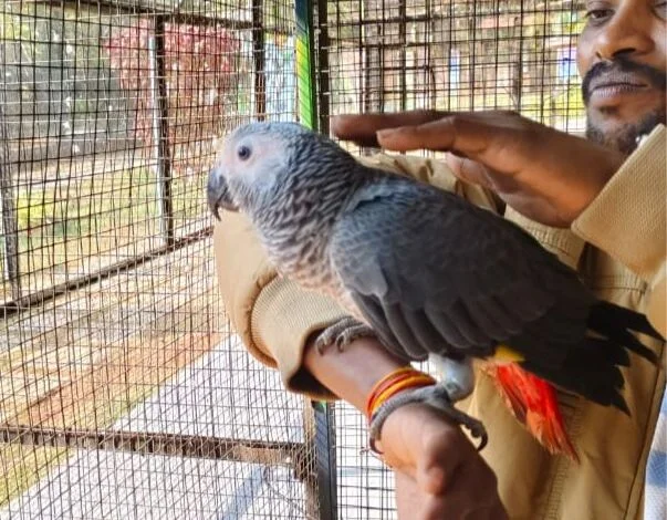 जगदलपुर के लामनी एवीयरी में नए मेहमानों का हुआ स्वागत