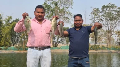 बायोफ्लॉक तकनीक से समृद्ध हो रहे किसान कैलाश पैकरा बायोफ्लॉक तकनीक से समृद्ध हो रहे किसान कैलाश पैकरा