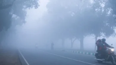 छत्तीसगढ़ में फिर बदला मौसम का मिजाज, ठंडी हवाओं ने बढ़ाई सर्दी