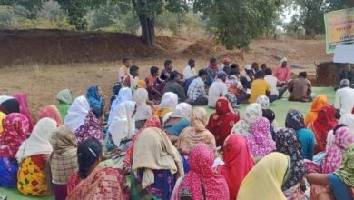 50 वर्षों बाद धमतरी के आदिवासी अंचल में रबी खेती की वापसी