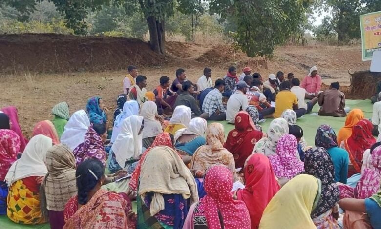 50 वर्षों बाद धमतरी के आदिवासी अंचल में रबी खेती की वापसी