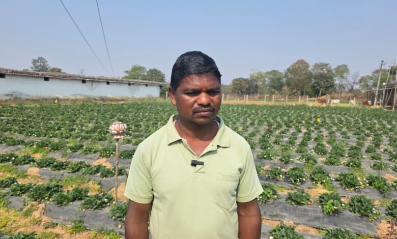 उद्यानिकी खेती से बदली किसान की आर्थिक तस्वीर