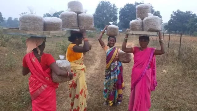 महिलाओं के लिए वरदान बनी उद्योगिनी योजना, बिना गारंटी मिलेगा 3 लाख तक का लोन