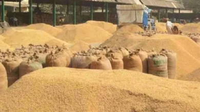 समर्थन मूल्य पर उपार्जित धान में गड़बड़ी का मामला, दो राइस मिलों पर कार्रवाई समर्थन मूल्य पर उपार्जित धान में गड़बड़ी का मामला, दो राइस मिलों पर कार्रवाई