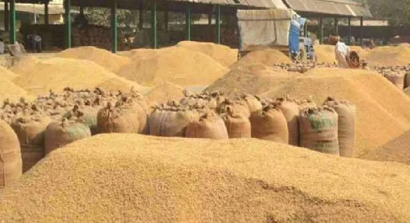 समर्थन मूल्य पर उपार्जित धान में गड़बड़ी का मामला, दो राइस मिलों पर कार्रवाई