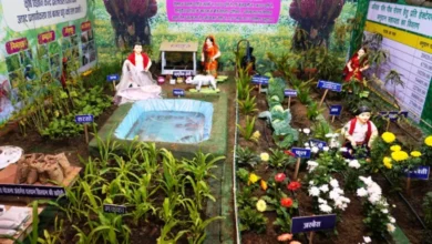 राजिम कुंभ कल्प में आधुनिक खेती का संदेश, पाम फल बना आकर्षण का केंद्र