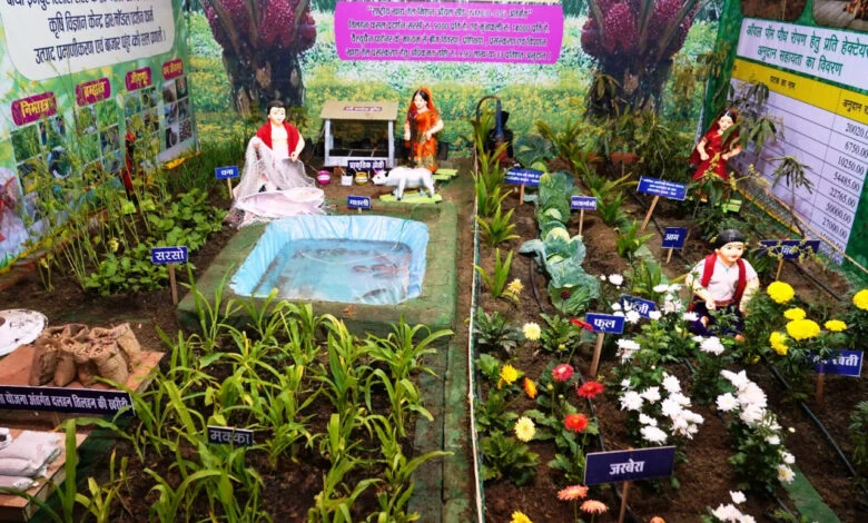 राजिम कुंभ कल्प में आधुनिक खेती का संदेश, पाम फल बना आकर्षण का केंद्र