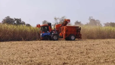 प्रदेश की पहली गन्ना हार्वेस्टर मशीन से बालोद के किसानों को मिली सुविधा