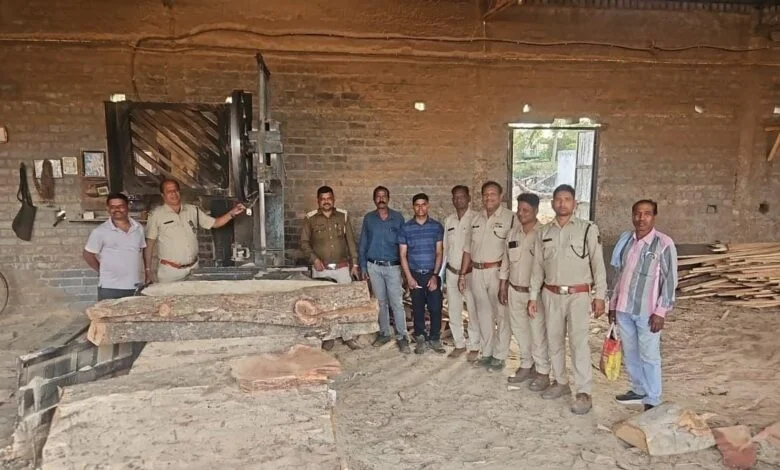 सक्ती वन परिक्षेत्र में अवैध लकड़ी भंडारण पर बड़ी कार्रवाई, अर्जुन प्रजाति की लकड़ी जब्त