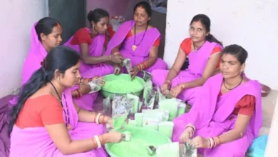 इस बार प्राकृतिक रंगों से रंगीन होगी होली, स्व सहायता समूह की महिलाएं कर रही है प्राकृतिक गुलाल का निर्माण