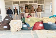 21 करोड़ 97 लाख से अधिक के मादक पदार्थ जब्‍त, एमडी ड्रग्‍स एवं हरे अफीम के पौधे जब्त