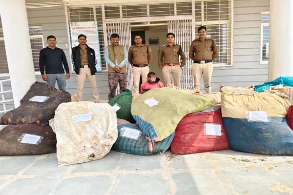 21 करोड़ 97 लाख से अधिक के मादक पदार्थ जब्‍त, एमडी ड्रग्‍स एवं हरे अफीम के पौधे जब्त