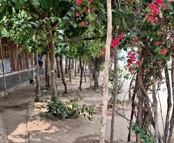 नवाचार की मिसाल : पोटाकेबिन में ‘वेस्ट वॉटर मैनेजमेंट’ के जरिए लहलहा उठी बगिया