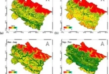 उपग्रहों ने उत्तराखंड की पहाड़ियों में वनस्पति क्षेत्र सिकुड़ने की दी चेतावनी