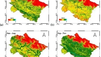 उपग्रहों ने उत्तराखंड की पहाड़ियों में वनस्पति क्षेत्र सिकुड़ने की दी चेतावनी