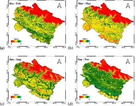 उपग्रहों ने उत्तराखंड की पहाड़ियों में वनस्पति क्षेत्र सिकुड़ने की दी चेतावनी