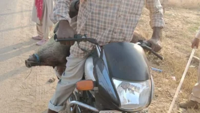 अवैध शिकार के खिलाफ वन विभाग की बड़ी कार्रवाई, सात आरोपी गिरफ्तार