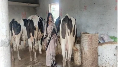 समूह से बदली जिंदगी, डेयरी और खेती से ‘लखपति दीदी’ बनीं माधुरी