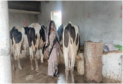 समूह से बदली जिंदगी, डेयरी और खेती से ‘लखपति दीदी’ बनीं माधुरी